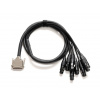WARM AUDIO Prem-DB25-XLRf-10'