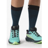 Dámske bežecké topánky Salomon Sense Ride 5 GTX - radiance/green ash