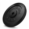 Spokey Litinový kotouč SINIS 2,5 kg 29mm