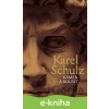 E-kniha Kámen a bolest - Karel Schulz