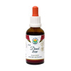 Salvia Paradise dračí krev kapky 50 ml