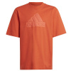 T-shirt adidas FI Logo Tee Jr. HR6296 (119036) Black 164 cm