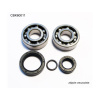 LOŽISKO WORX CBK60011 LOŽISKO WORX LOŽISKÁ KĽUKOVÉHO HRIADEĽA KTM SX 50 10-12, SX50 MINI 09-15 (NTN) (VYROBENÉ V JAPONSKU) (24-1