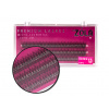 Zola Premium Cluster Lashes Birdtail umělé trsové vějířkové řasy délka: 13 mm