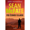 Pod černou vlajkou - Sean McFate