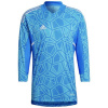 Adidas Condivo 22 Goalkeeper Jersey Long Sleeve M HB1616 (114437) Black M
