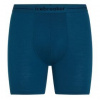 Icebreaker Anatomica Long Boxers Men