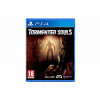 PS4 Tormented Souls