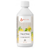 Issencia Olej do prania - King of Ylang (500ml)
