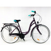 Mestsky bicykel - Storm Amsterdam 3s 28
