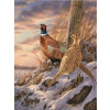 Diamantové maľovanie Norimpex 40x30 cm Bažanty v zime