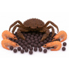 Boilies - MONSTER CRAB - Ø 16 mm 1 kg