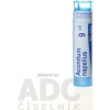Aconitum Napellus gra.1 x 4 g 9CH