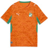 Puma Kids Ivory Coast Home Shirt World Cup 2026 Orange/Green 7-8 rokov