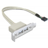 Delock Slot bracket USB 2.0 low profile 2 port