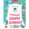Encyklopedie úžasných zajímavostí - Miles Kelly