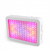 Osvetlenie pre rastliny - LED ŽIAROVKA 1200W RASTI OSVETLENIE (Osvetlenie pre rastliny - LED ŽIAROVKA 1200W RASTI OSVETLENIE)