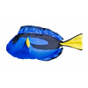 EnergoTeam VANKÚŠ RYBA DORY, Variant Rozmer:50 cm