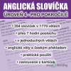 Anglická slovíčka - úroveň 4 pro pokročilé - Richard Ludvík - online doručenie