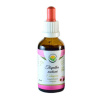 Salvia Paradise Echinacea Třapatka nachová AF tinktura 50 ml