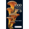 1000 českých a slovenských hub - Michal Mikšík
