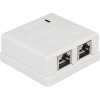 Delock 86269 sieťová zásuvka pod omietku panel s čelnou doskou a rámčekom CAT 6 2 porty biela; 86269