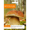 Podhubie Mycélium Hríb smrekový 10 g