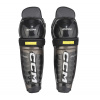 Holeně CCM TACKS AS 580 JR