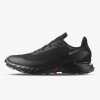 SALOMON ALPHACROSS 5 GTX EUR 49 1/3