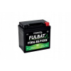 Fulbat FTX5L-BS GEL