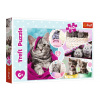 Trefl 15371 Puzzle 160 dielov Mačiatka