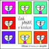Jak přežít v kostce - Sylva Vespalcová