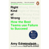 Right Kind of Wrong - Amy Edmondson