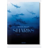Sharks - Philippe Cousteau, Jr., Dr. Alison Kock, Arty Nelson, Taschen GmbH
