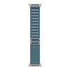Apple Watch 49mm Light Blue Alpine Loop - Large - Natural Titanium Finish