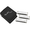 Fender Blues Deluxe Harmonica Pack of 3 with Case