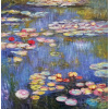 Olejový obraz vodných ľalie 1916 - Claude Monet (Olejový obraz vodných ľalie 1916 - Claude Monet)