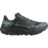 Salomon THUNDERCROSS GTX L47279000 Veľkosť: 11