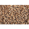 Simpsons Maris Otter EBC 4-6 - 1 kg