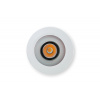 Loxon LED Spot RGBW Tree biela (100330)