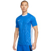 Tričko Nike Dri Fit Challenge V Jsy SS M FD7412 463
