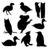 Zvířata - plastová šablona 048 Rozměr: D 29x29cm