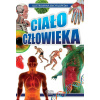Arti Ľudské telo. Ilustrovaná encyklopédia