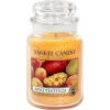 Aromatická svíčka Mango Peach Salsa 623 g - Yankee Candle