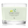 Yankee Candle votív v skle - Midnight Jasmine 37 g