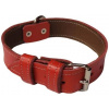 Palkar Obojok z kože hladenice pre psov 60 cm × 30 mm červený