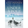 Under a Pole Star (Stef Penney)