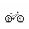 CTM detský bicykel JERRY 3.0 strieborná / červená 20