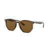 Ray-Ban RB4306 710/83