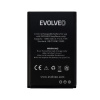 Evolveo EasyPhone EP-500